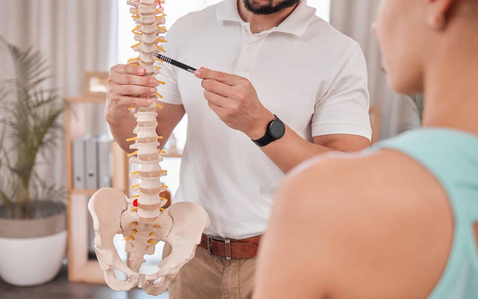 chiropractor spine and anatomy with a medical ske 2023 11 27 05 08 03 utc