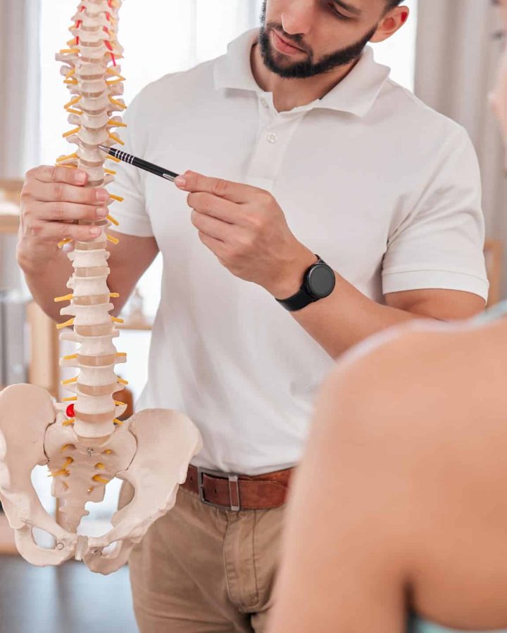 chiropractor spine and anatomy with a medical ske 2023 11 27 05 08 03 utc