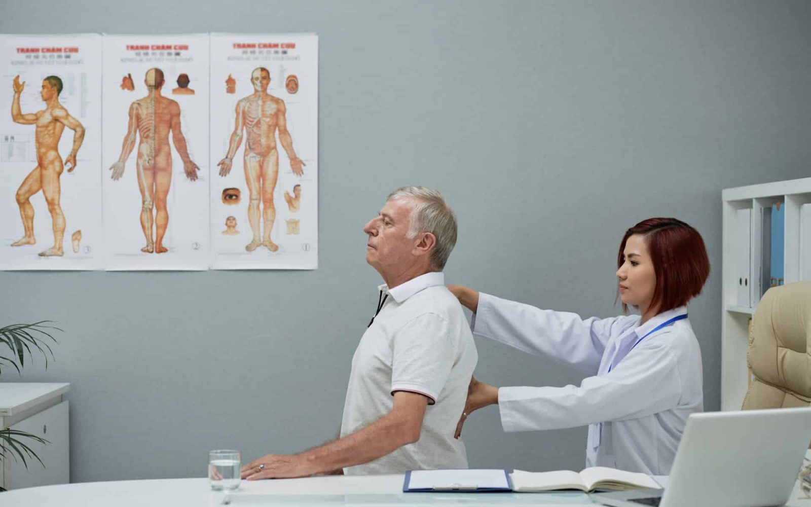 Chiropractic Check-Ups